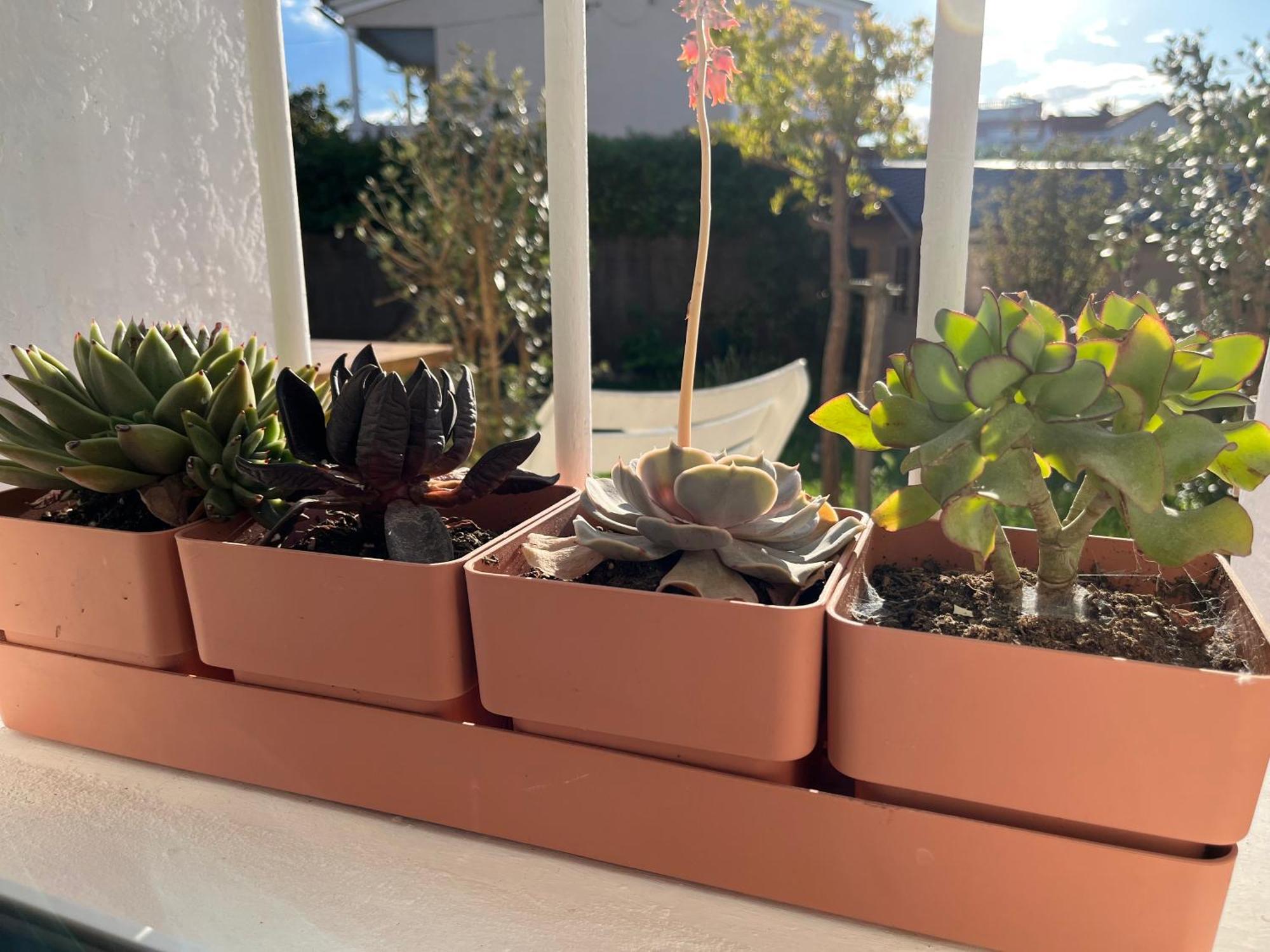 אנטיב Appartement Deux Pieces Donnant Sur Un Jardin מראה חיצוני תמונה